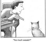Too much wasabi?