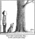 Just a dog