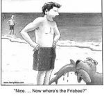 where's the frisbee?