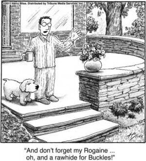 and don't forget my Rogaine...