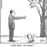 I said 'fetch,'...