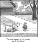 The Yelp reviews...
