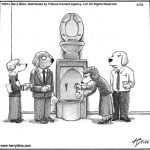 Water-cooler...