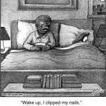 Wake up...