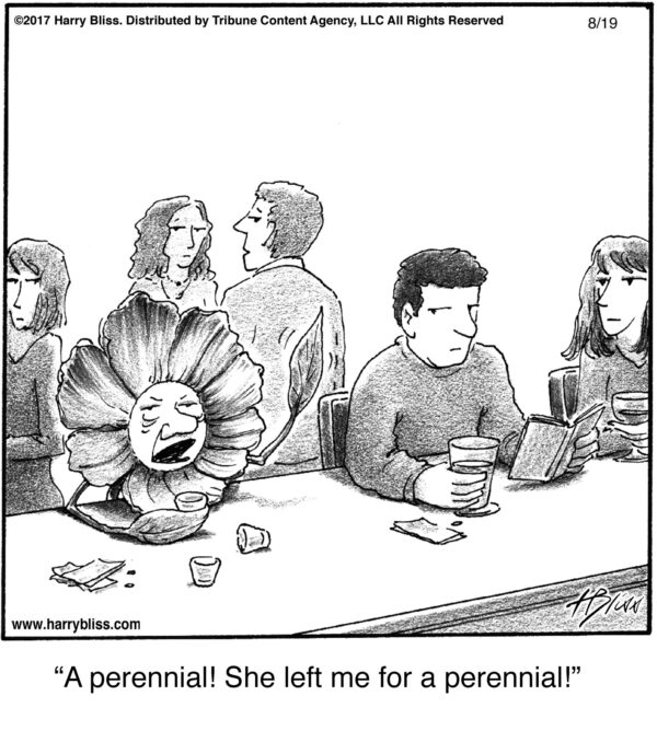 A perennial!..