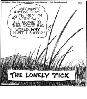 The lonely tick...