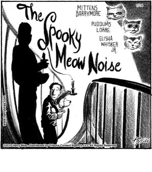 The Spooky Meow noise...