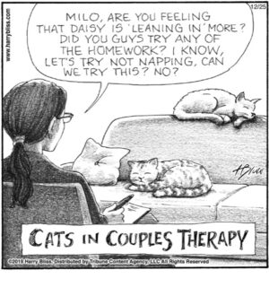 Cats in couples therapy...