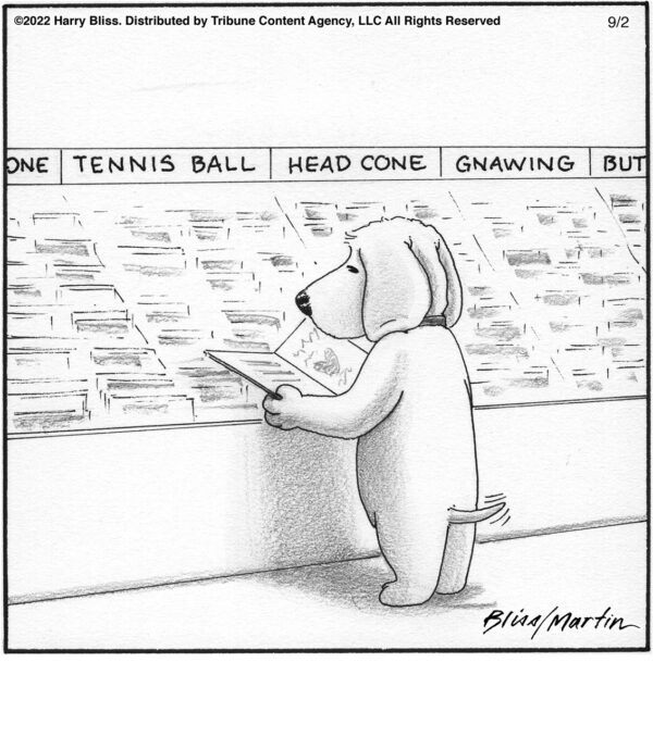 dog education…