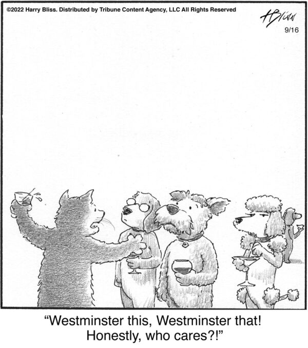 Westminster this