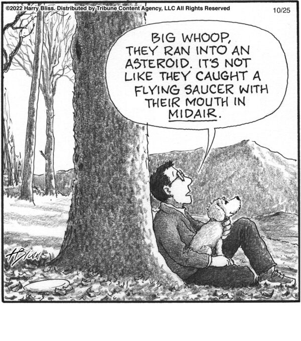 They ran into an asteroid…