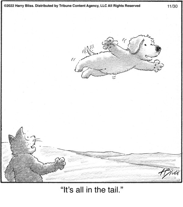 It’s all in.…