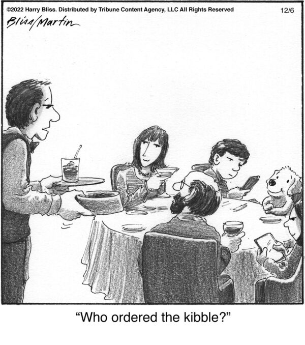 Who ordered the…