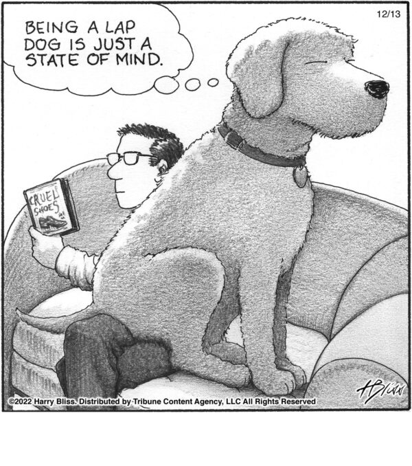 Being a lap dog…