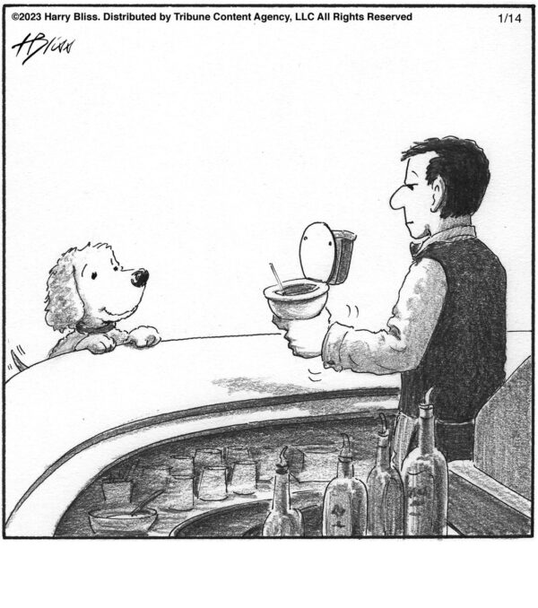 Dog cocktail…