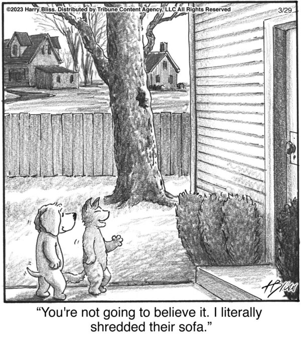 You're not going to believe it…