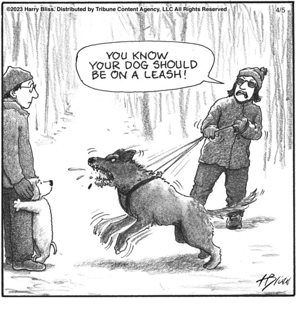 Your dog should…