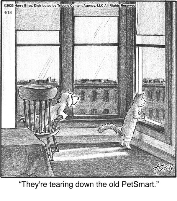 They're tearing down…