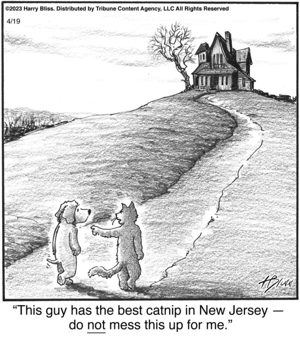This guy has the best catnip…