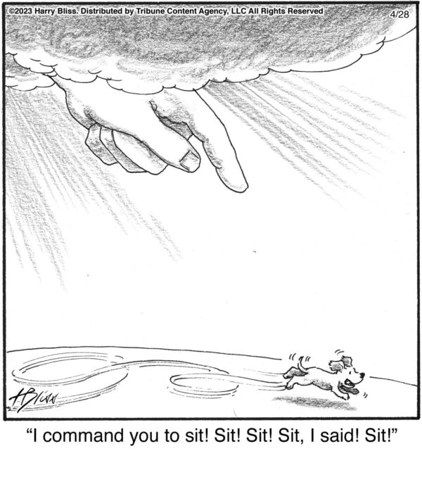 I command you to sit!