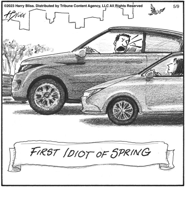 The first idiot of spring…