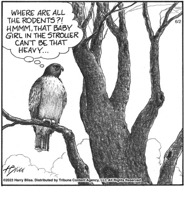 where are all the rodents?!..