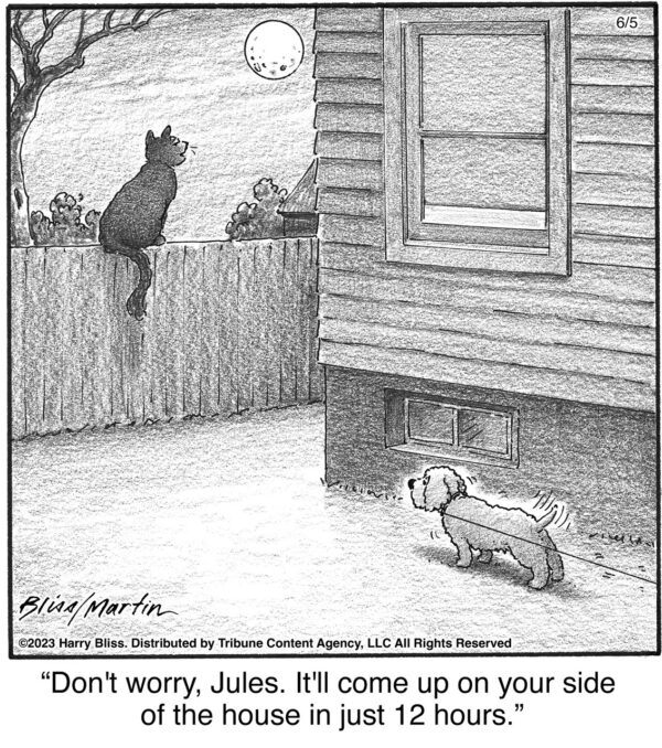 Don't worry
