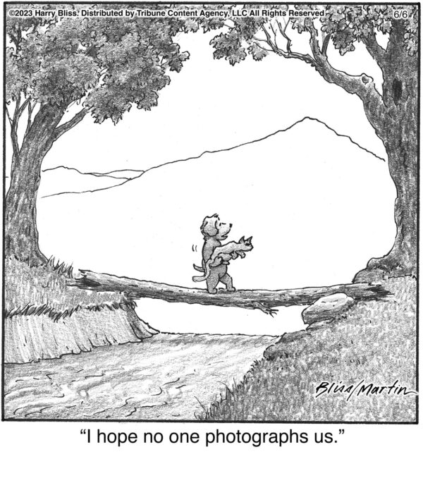 I hope no one…