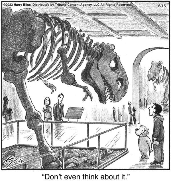 Don’t even think…