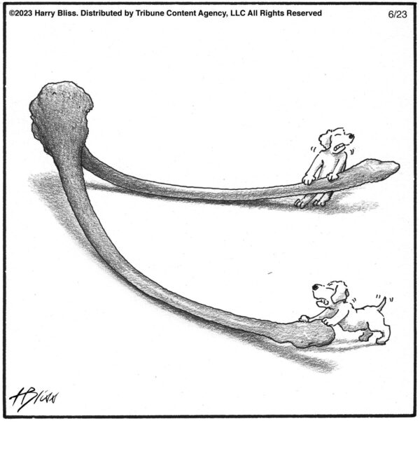 Wish bone…