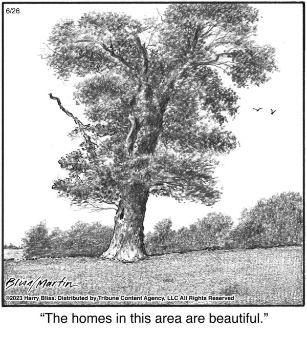 The homes in this…
