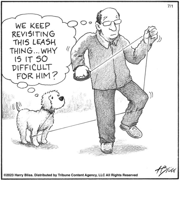 We keep revisiting this leash thing…