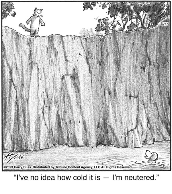 I’ve no idea how cold it is…
