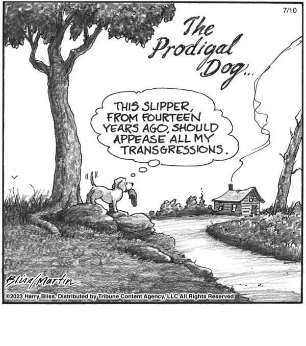 The Prodigal dog…