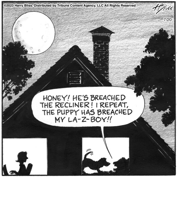 Honey! he’s breached…
