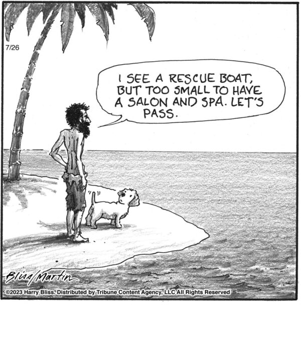 I see a rescue boat…
