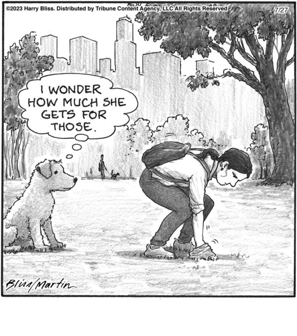 I wonder how much…