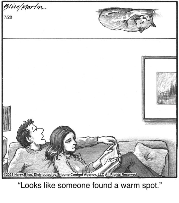 Looks like someone…