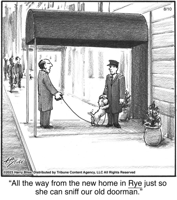 All the way from the new home in Rye…
