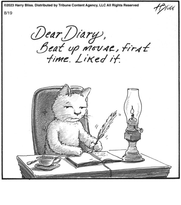 Dear diary…