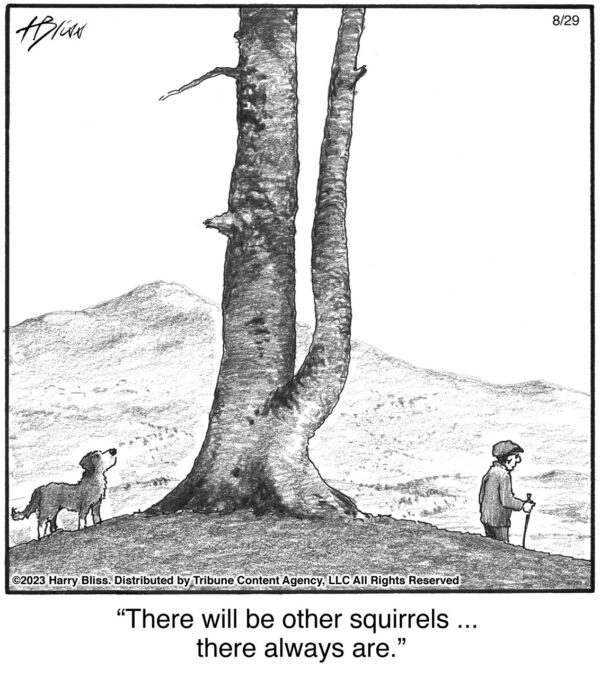 There will be other squirrels…