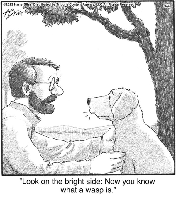 Look on the bright side…