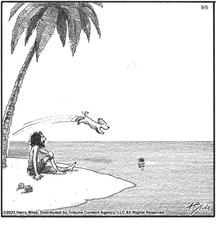 Fetch 