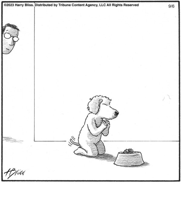 Dog grace…