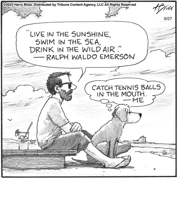 Live in the sunshine