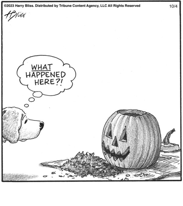 WHAT happened…