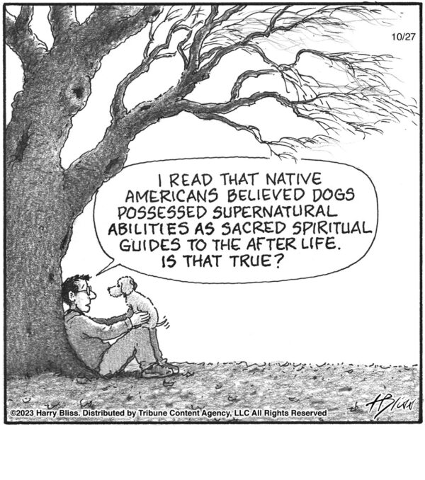 I read that native American Indians…