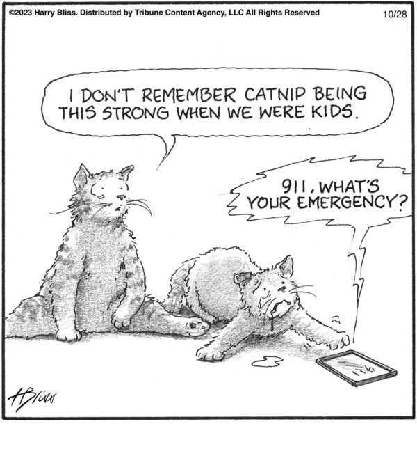 I don’t remember catnip…