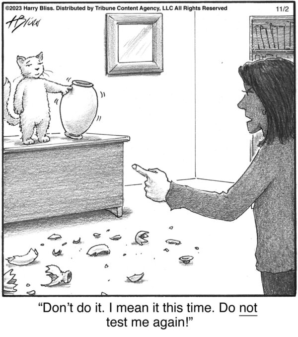 Don’t do it…