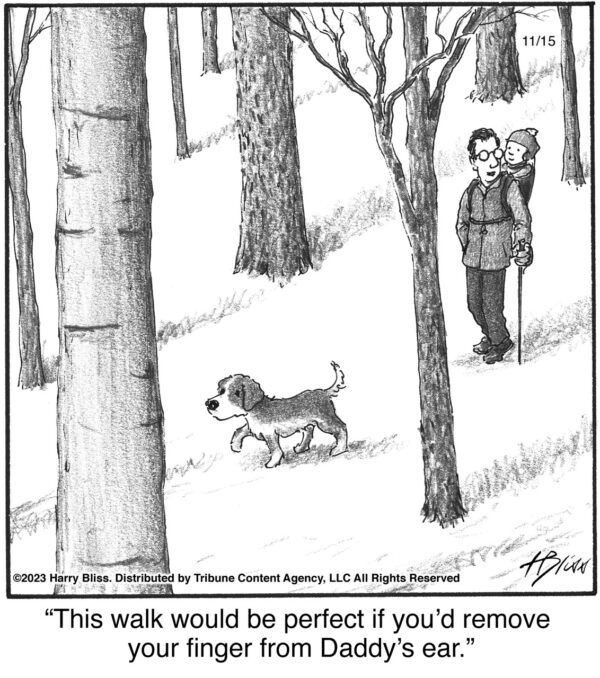 This walk would be perfect…